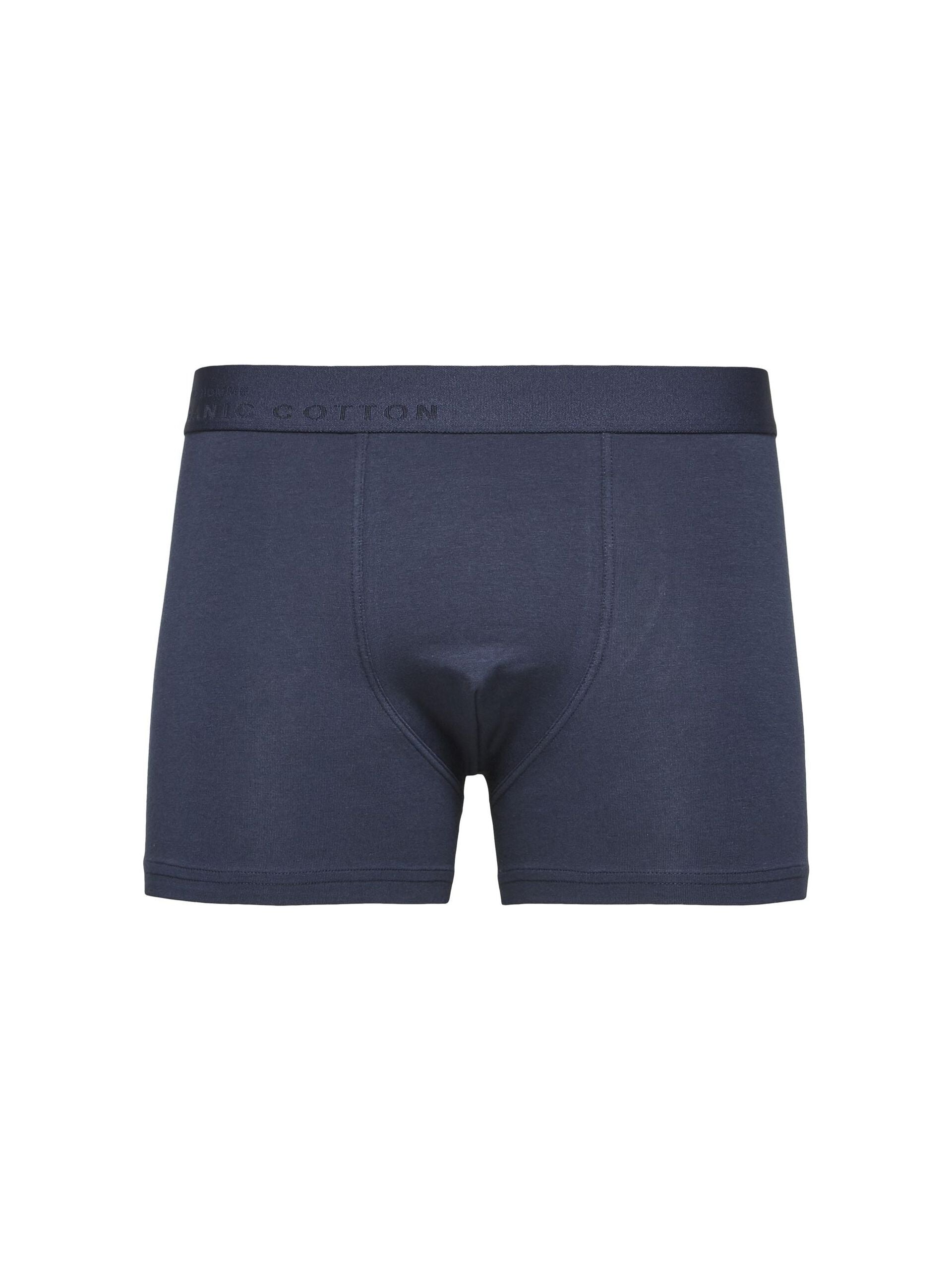 Boxer Selected