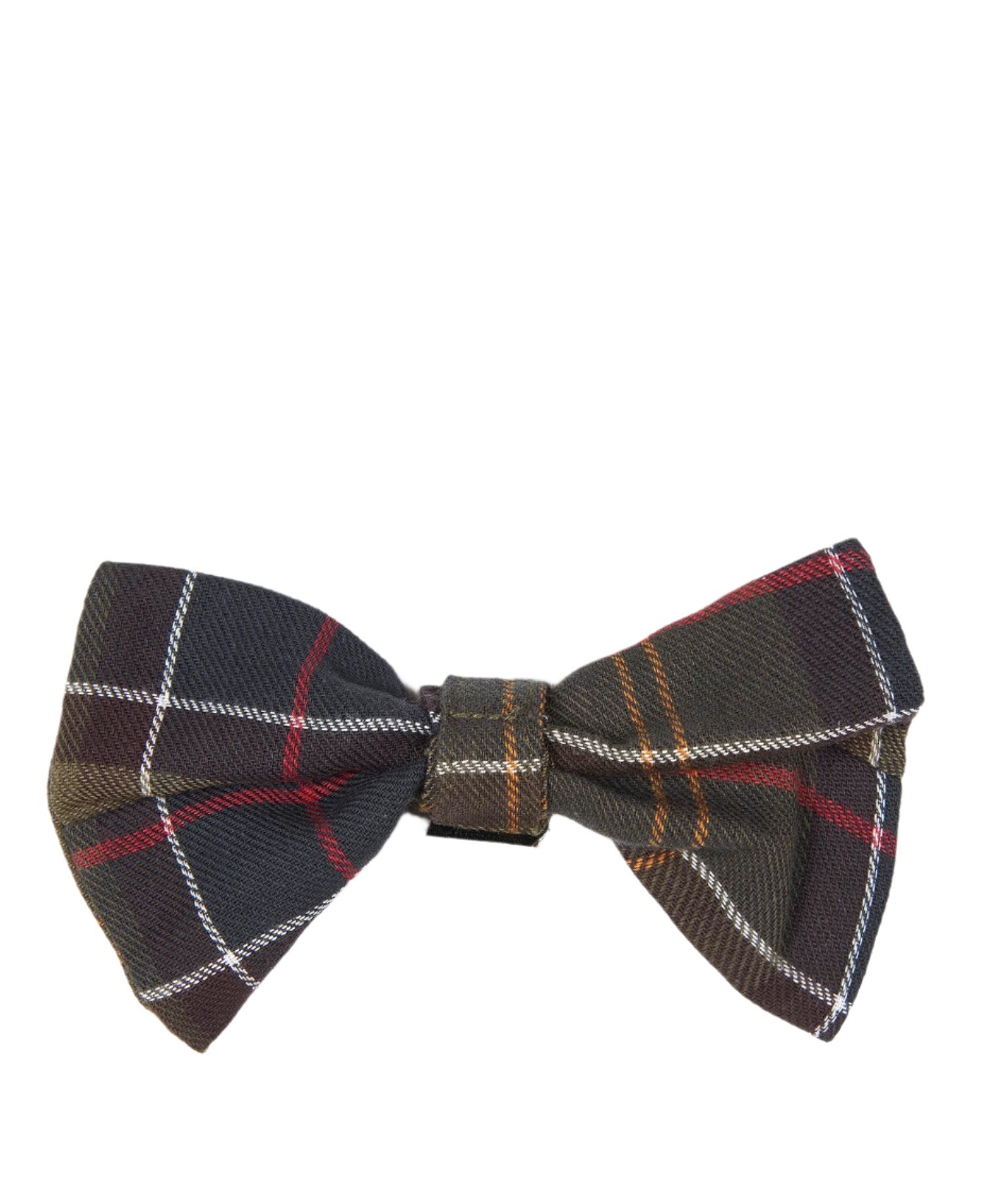 Noeud papillon pour chien