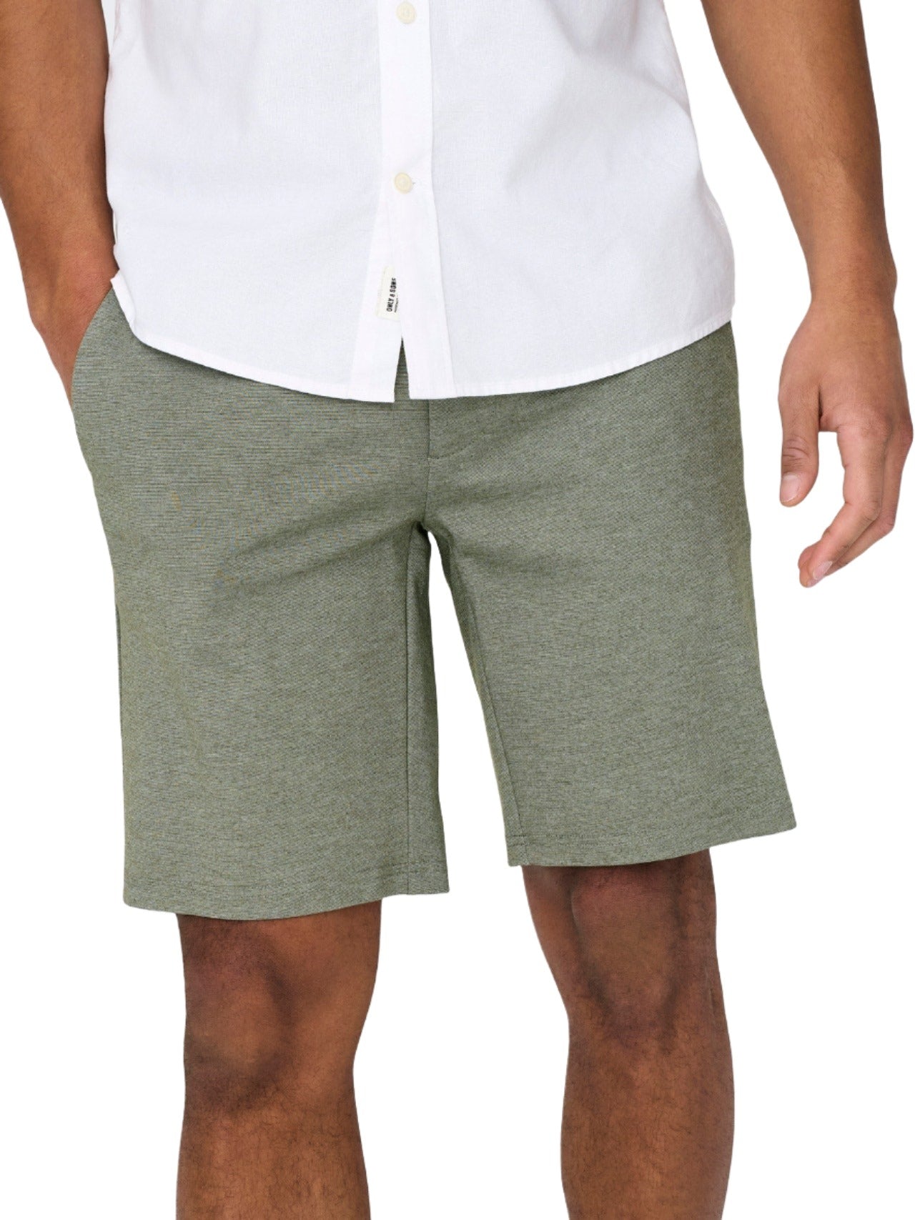 Bermuda Mark Olive