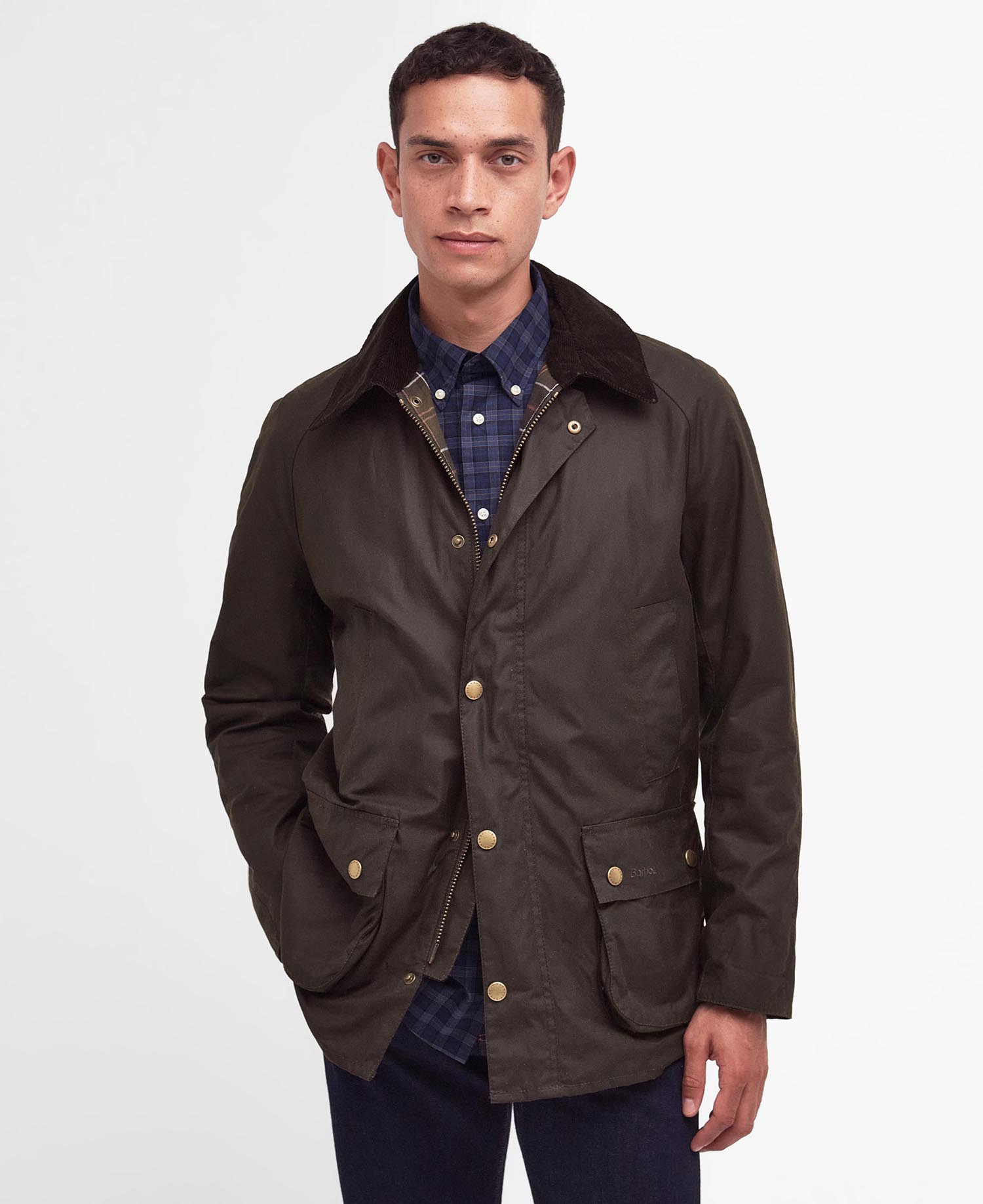 Veste Ashby Olive